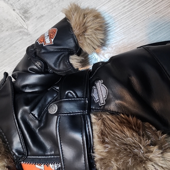 Harley-Davidson large Collectable BEAR - Picture 9 of 9